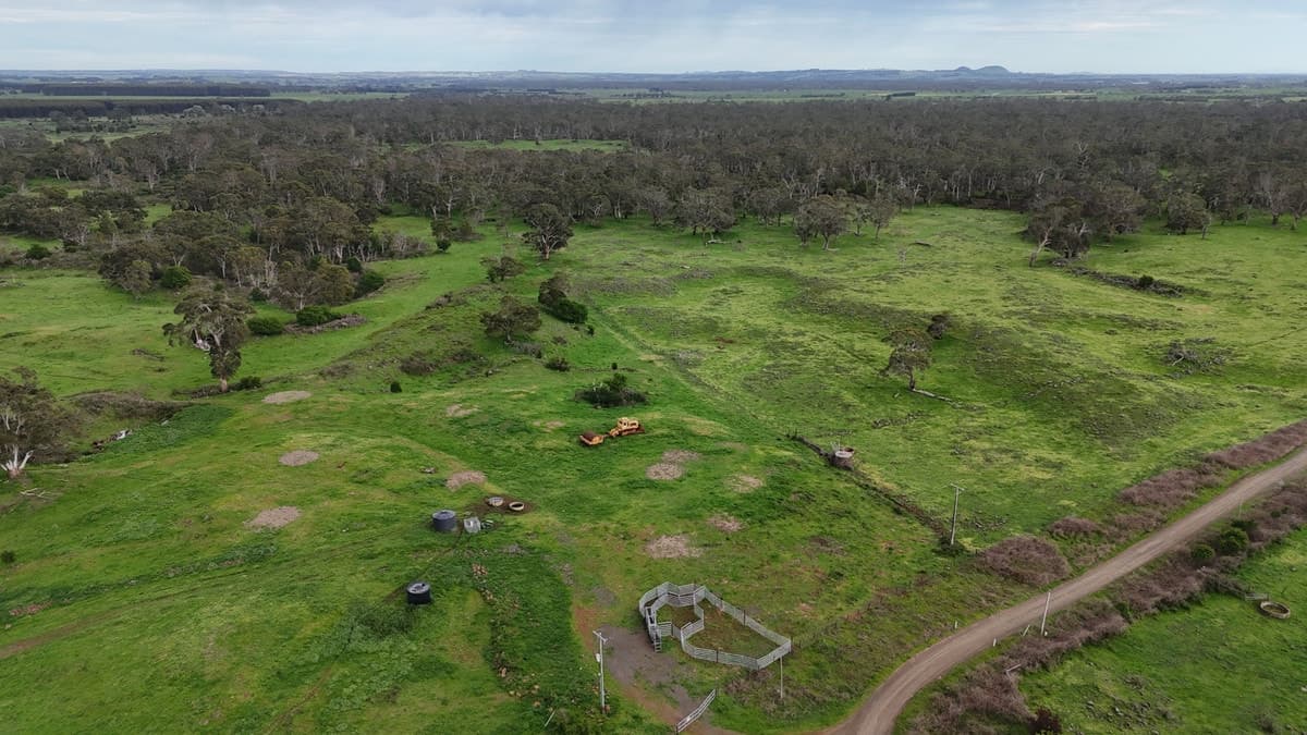 250 Scoullers Road, Stonyford, VIC, Stonyford - Thumbnail 4