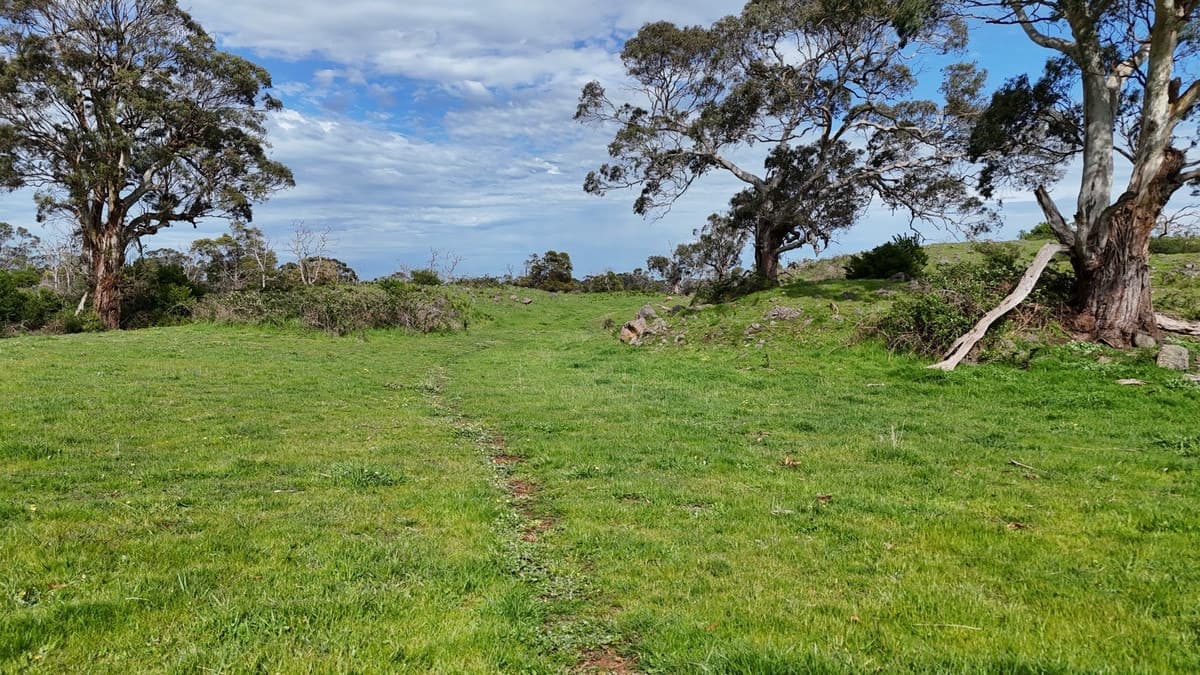 250 Scoullers Road, Stonyford, VIC, Stonyford - Thumbnail 5