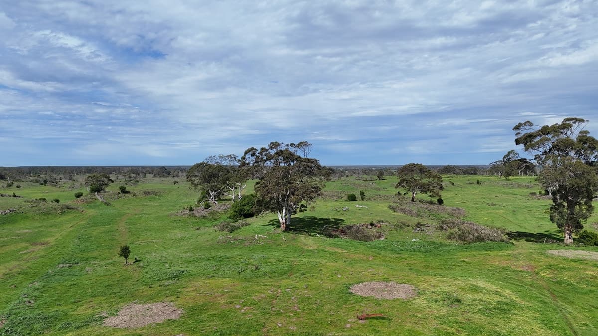 250 Scoullers Road, Stonyford, VIC, Stonyford - Thumbnail 6