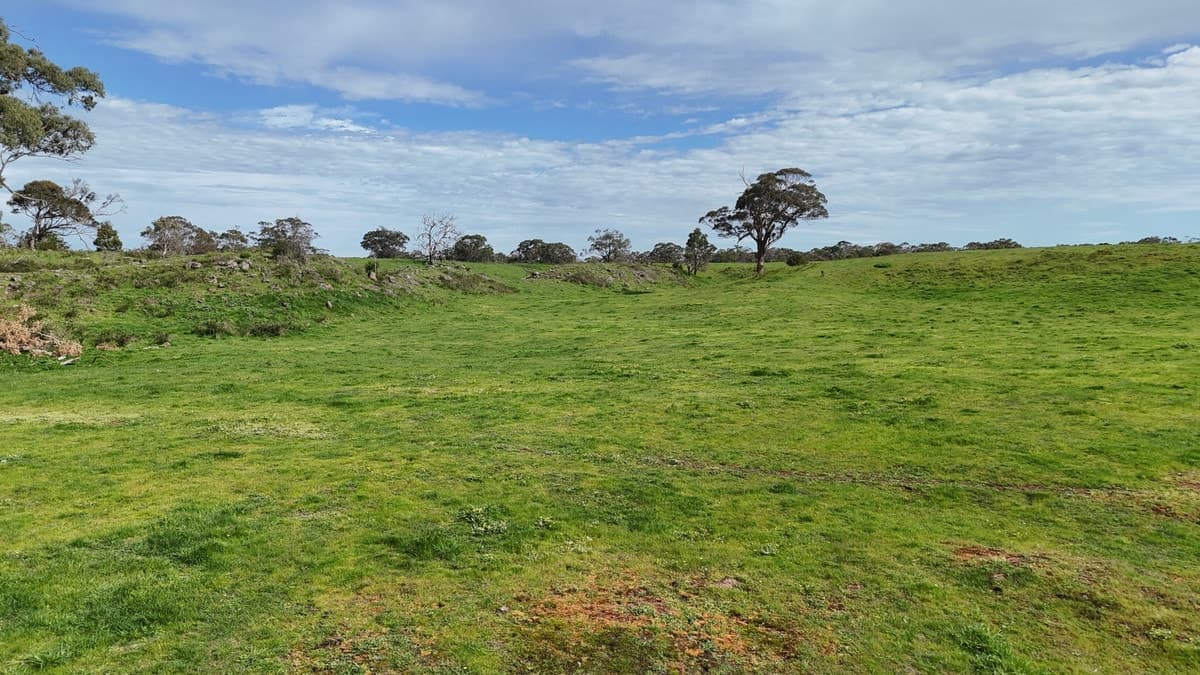 250 Scoullers Road, Stonyford, VIC, Stonyford - Thumbnail 7