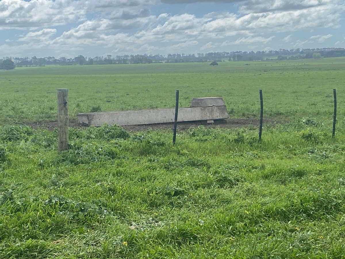 Jaffrays Road, Wallacedale, VIC, Wallacedale - Thumbnail 3