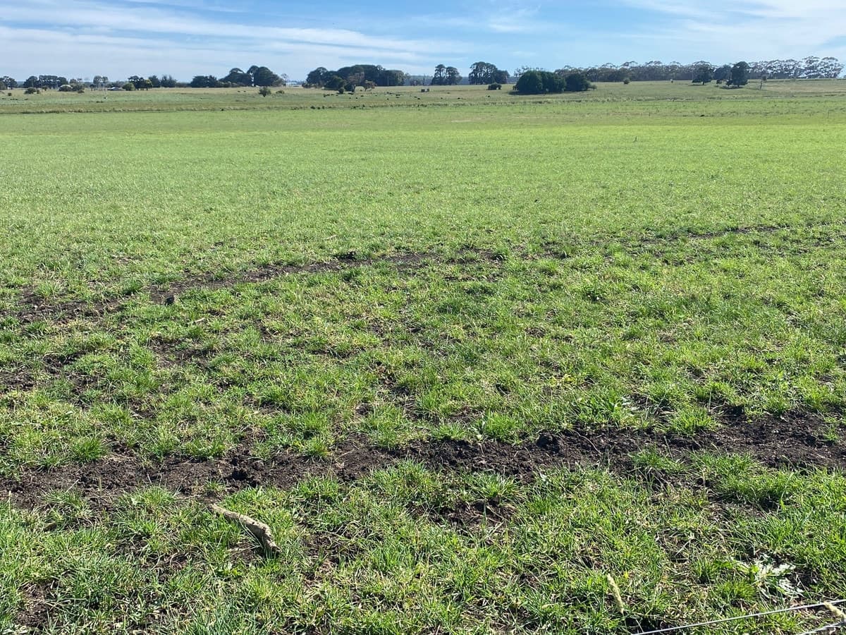 Jaffrays Road, Wallacedale, VIC, Wallacedale - Thumbnail 7