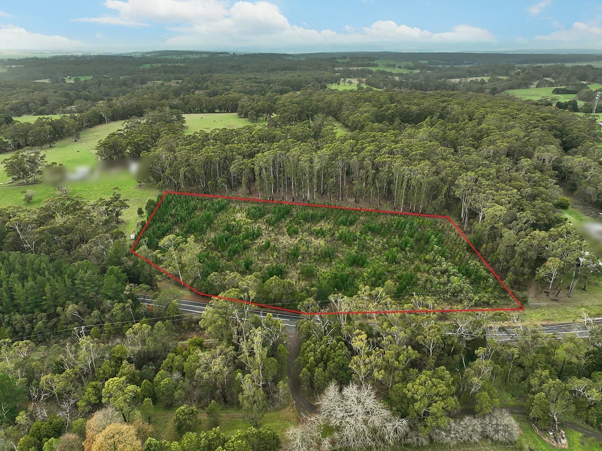 380 & 395 Colac-Lavers Hill Road, Barongarook, VIC, Barongarook - Thumbnail 2