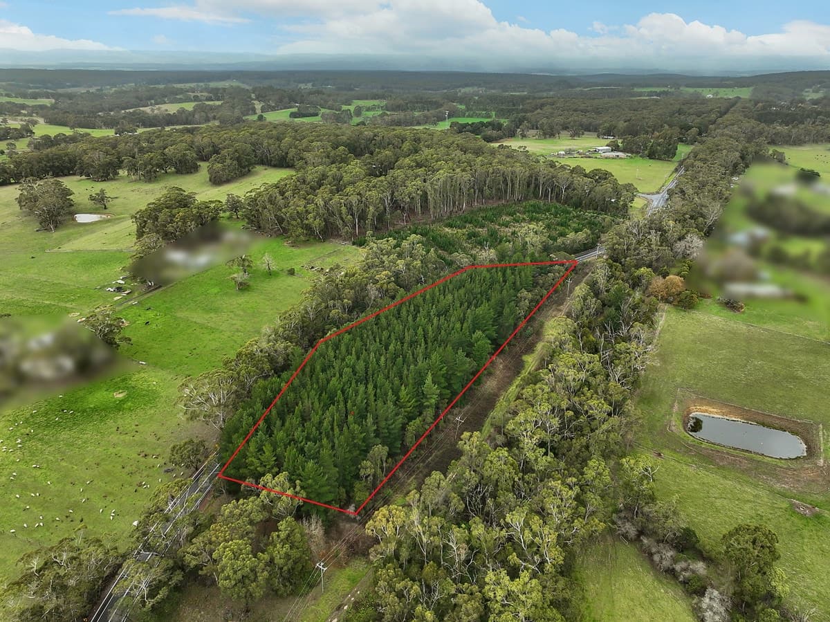 380 & 395 Colac-Lavers Hill Road, Barongarook, VIC, Barongarook - Thumbnail 3