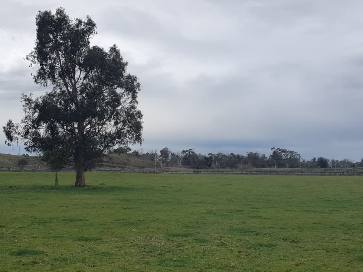 546 Koallah Pomborneit Road, Koallah, VIC, Koallah - Thumbnail 4