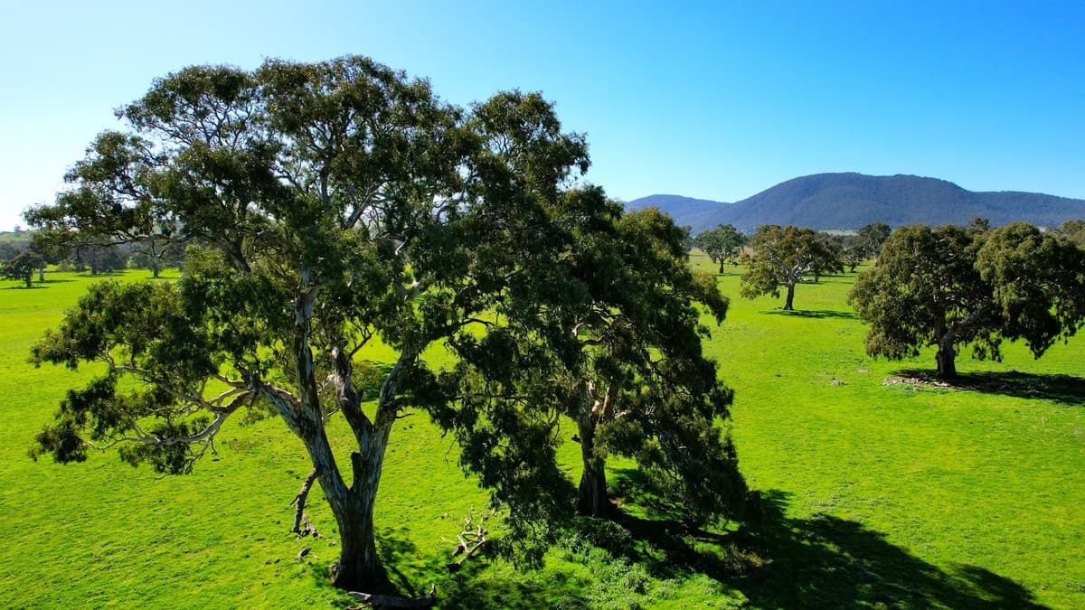 102 Hillman Road, Middle Creek, VIC, Middle Creek - Image 1