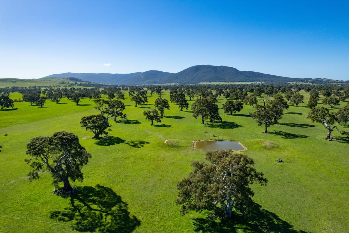102 Hillman Road, Middle Creek, VIC, Middle Creek - Thumbnail 3