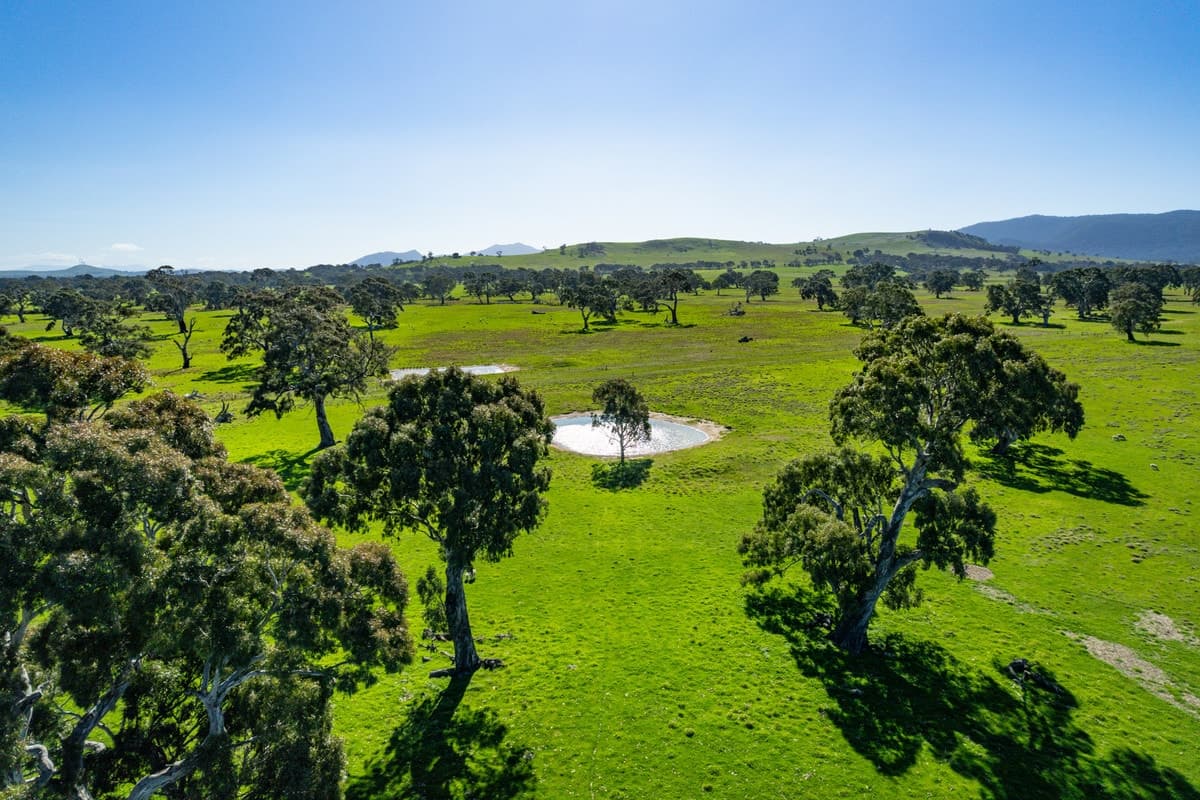 102 Hillman Road, Middle Creek, VIC, Middle Creek - Thumbnail 7