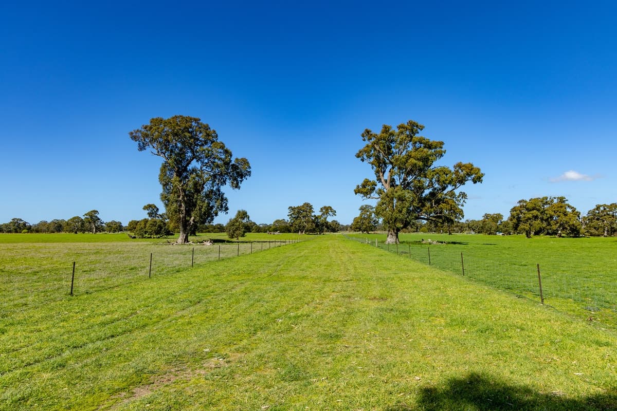 102 Hillman Road, Middle Creek, VIC, Middle Creek - Thumbnail 8