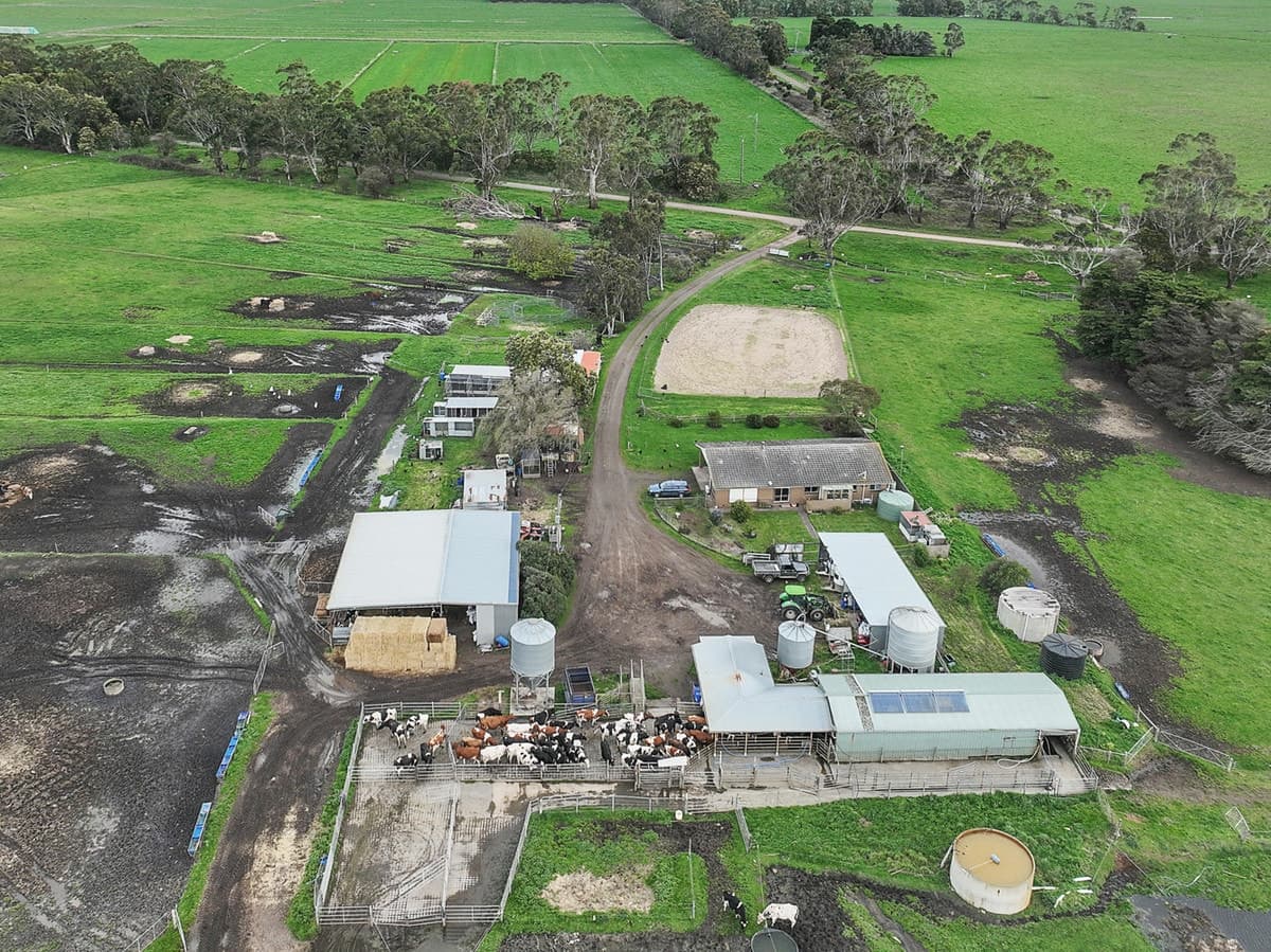 470 Old Irrewillipe Road, Bungador, VIC, Bungador - Thumbnail 5