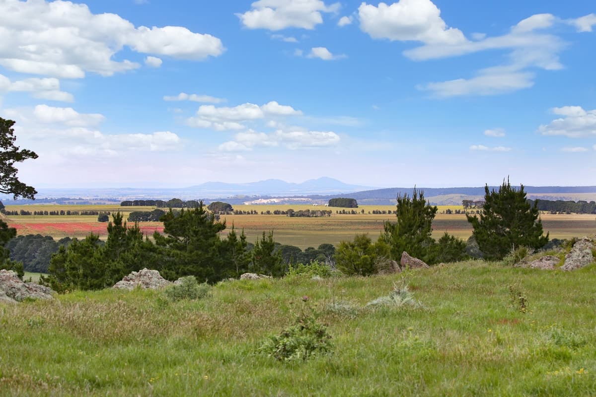 15 Gilletts Lane, Ingliston, VIC, Ingliston - Thumbnail 6