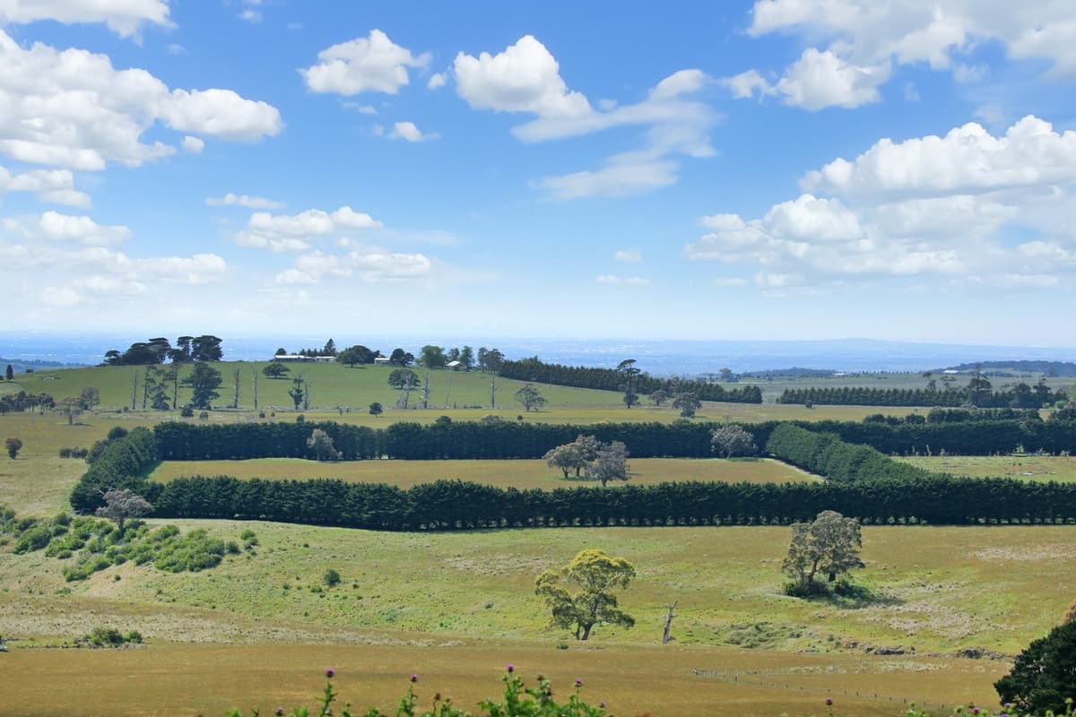 15 Gilletts Lane, Ingliston, VIC, Ingliston - Thumbnail 7