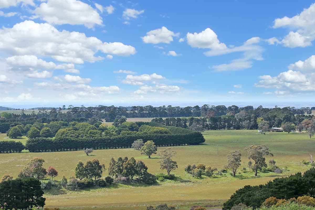 15 Gilletts Lane, Ingliston, VIC, Ingliston - Thumbnail 8