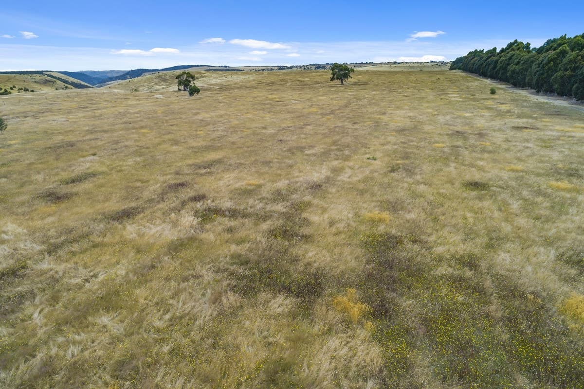 301 Garrards Lane, Myrniong, VIC, Myrniong - Thumbnail 6