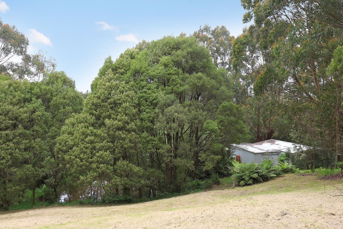 5035 Great Ocean Road, Lavers Hill, VIC, Lavers Hill - Thumbnail 3