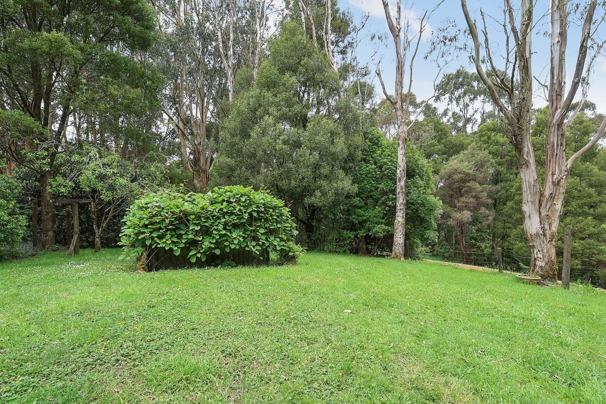 5035 Great Ocean Road, Lavers Hill, VIC, Lavers Hill - Thumbnail 6