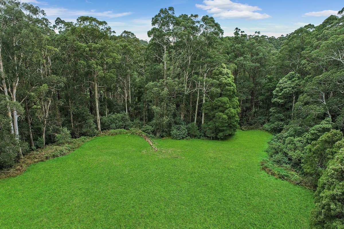 3360 Colac-Lavers Hill Road, Ferguson, VIC, Ferguson - Thumbnail 4