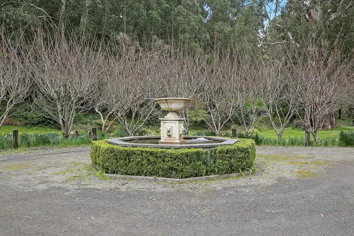 3360 Colac-Lavers Hill Road, Ferguson, VIC, Ferguson - Thumbnail 6