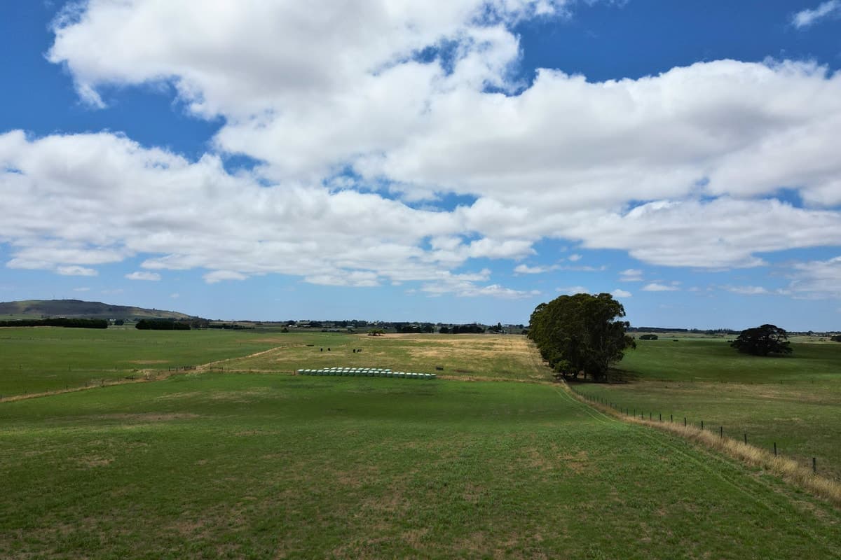69-81 Ryans Lane, Coragulac, VIC, Coragulac - Thumbnail 3