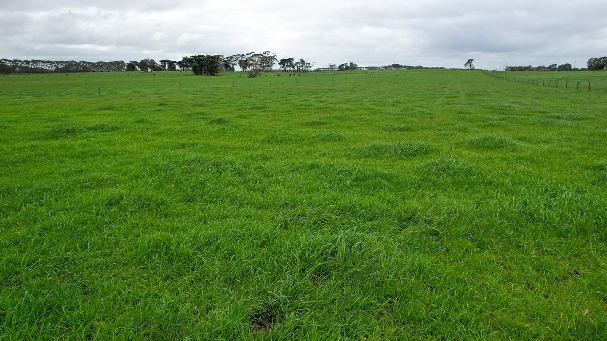 Hughs Road, Wangoom, VIC, Wangoom - Thumbnail 2