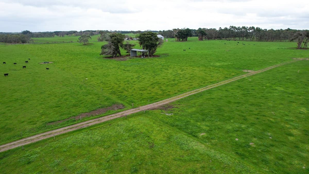 Hughs Road, Wangoom, VIC, Wangoom - Thumbnail 3