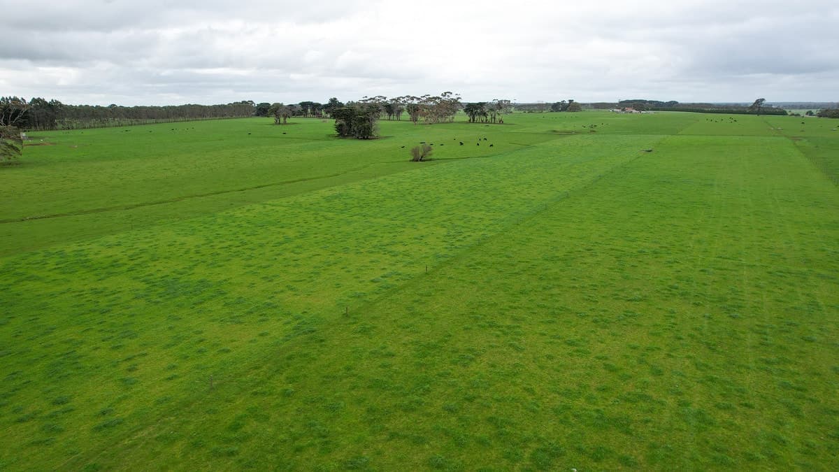 Hughs Road, Wangoom, VIC, Wangoom - Thumbnail 4