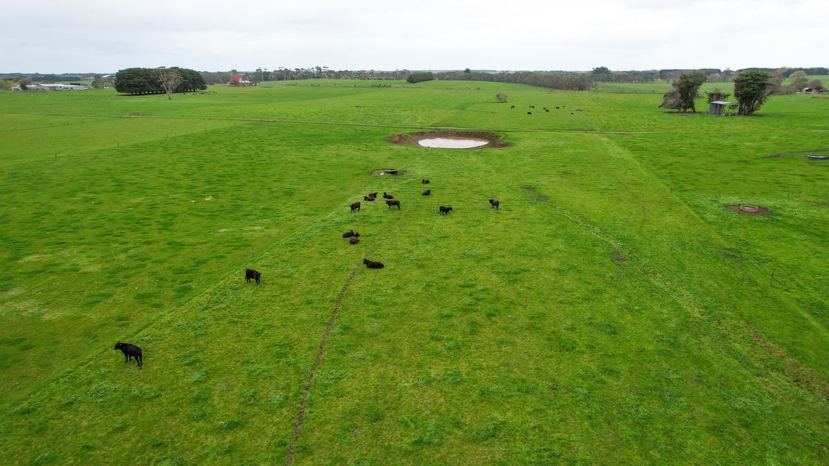 Hughs Road, Wangoom, VIC, Wangoom - Thumbnail 5