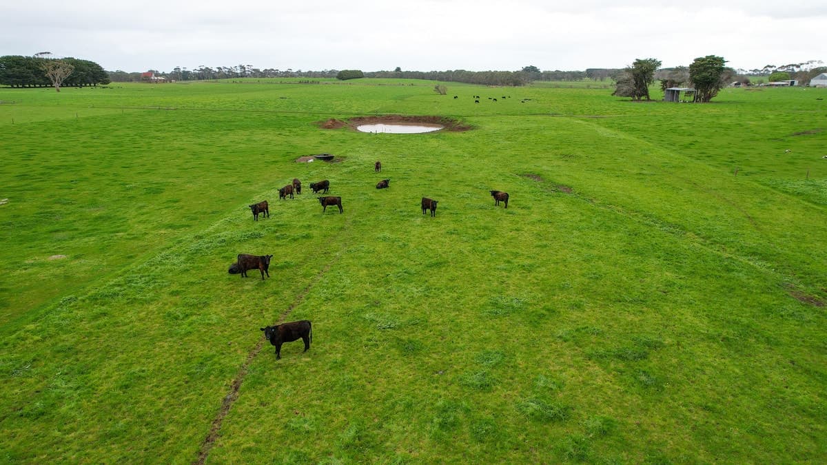 Hughs Road, Wangoom, VIC, Wangoom - Thumbnail 6