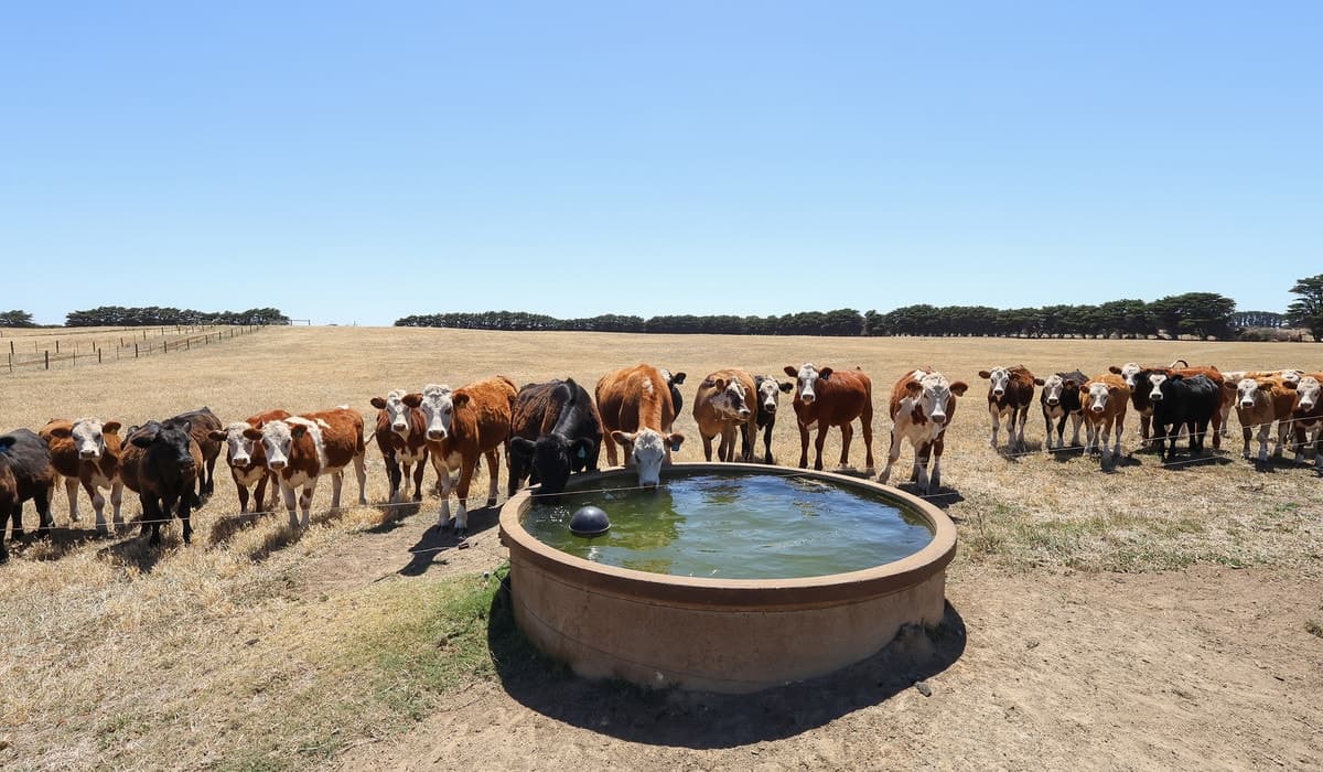 4577 Princes Highway, Yambuk, VIC, Yambuk - Thumbnail 2