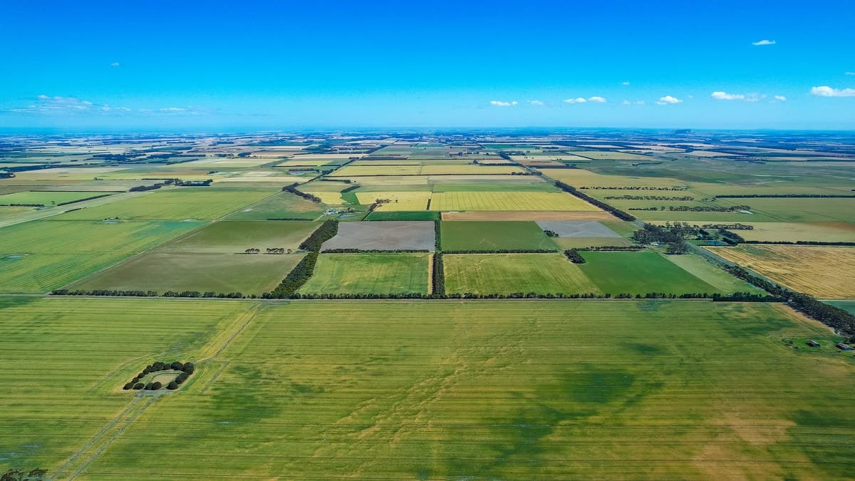 1834 Lismore-Skipton Road, Bradvale, VIC, Bradvale - Thumbnail 2
