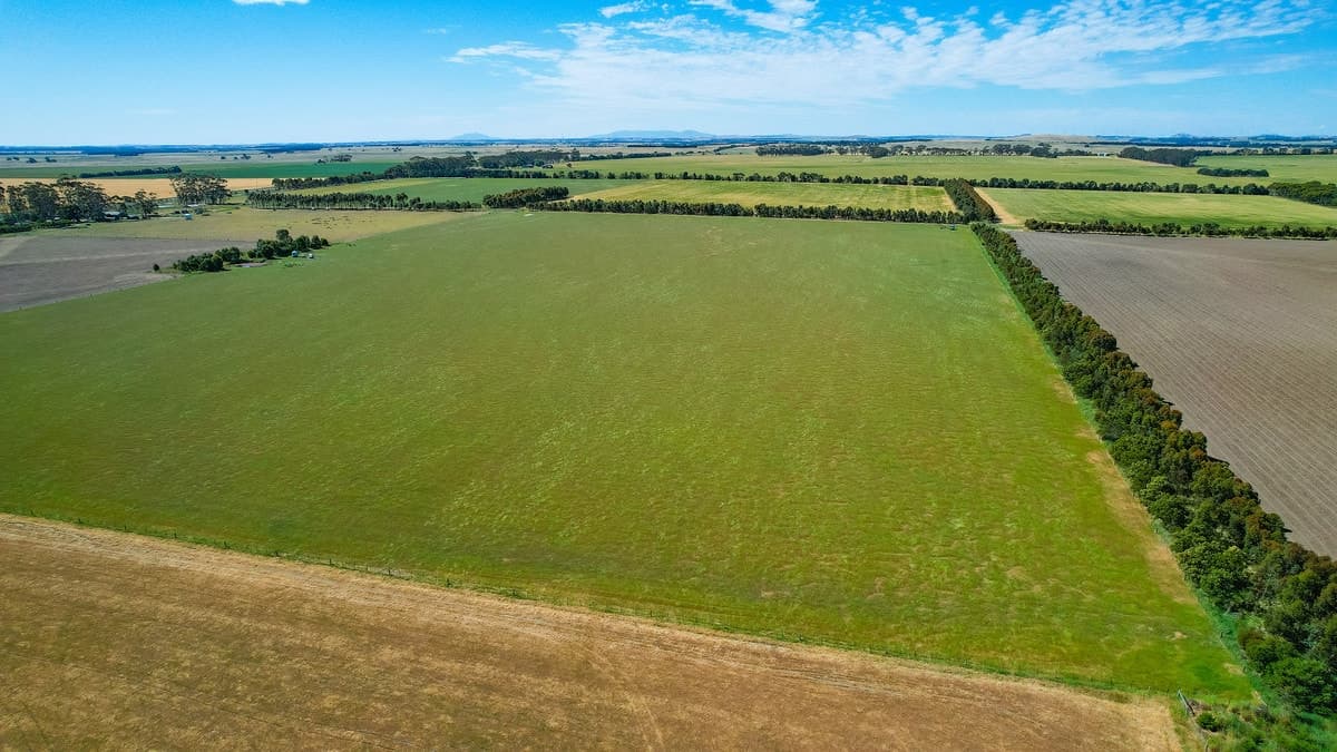 1834 Lismore-Skipton Road, Bradvale, VIC, Bradvale - Thumbnail 3