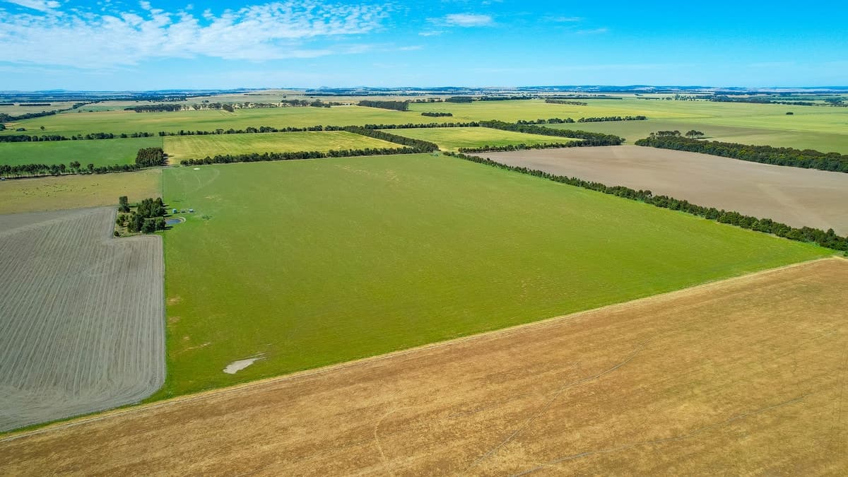 1834 Lismore-Skipton Road, Bradvale, VIC, Bradvale - Thumbnail 4