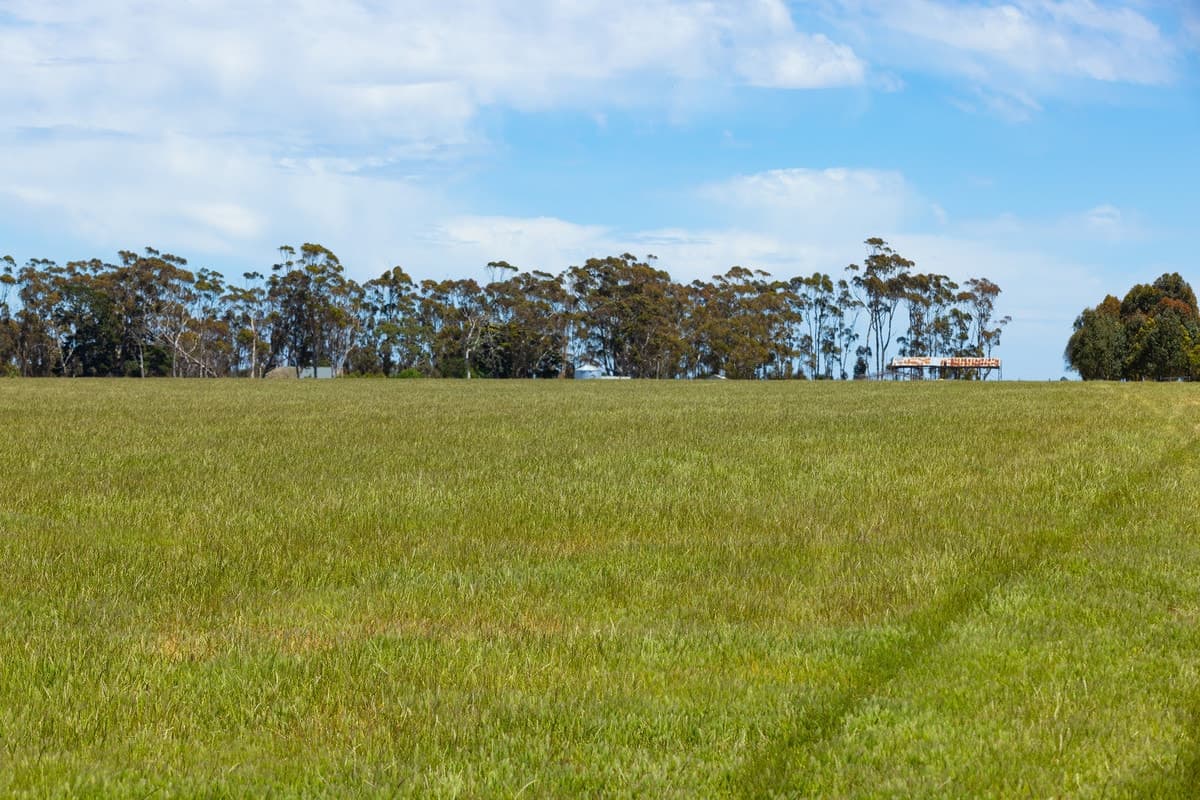 1834 Lismore-Skipton Road, Bradvale, VIC, Bradvale - Thumbnail 5