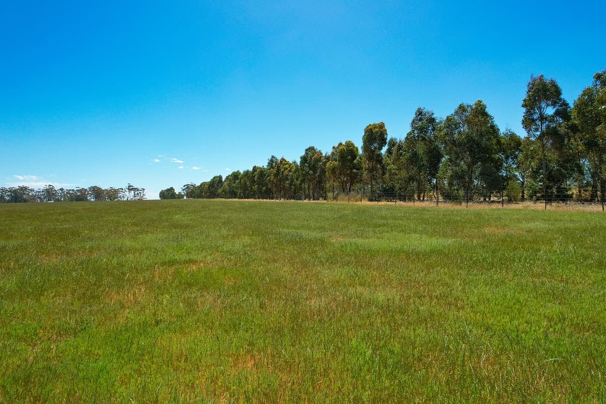 1834 Lismore-Skipton Road, Bradvale, VIC, Bradvale - Thumbnail 6