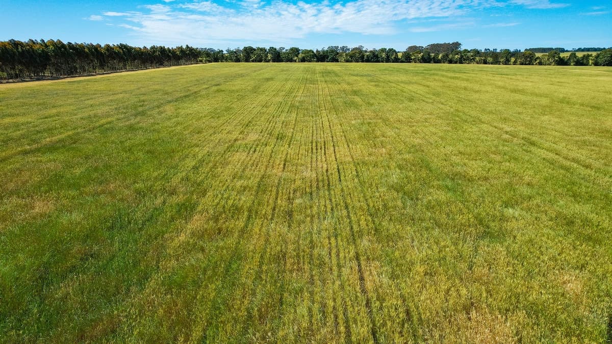 1834 Lismore-Skipton Road, Bradvale, VIC, Bradvale - Thumbnail 7