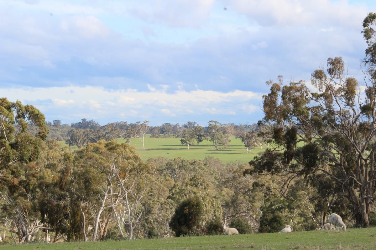 Smiths Road, Balmoral, VIC, Balmoral - Thumbnail 8