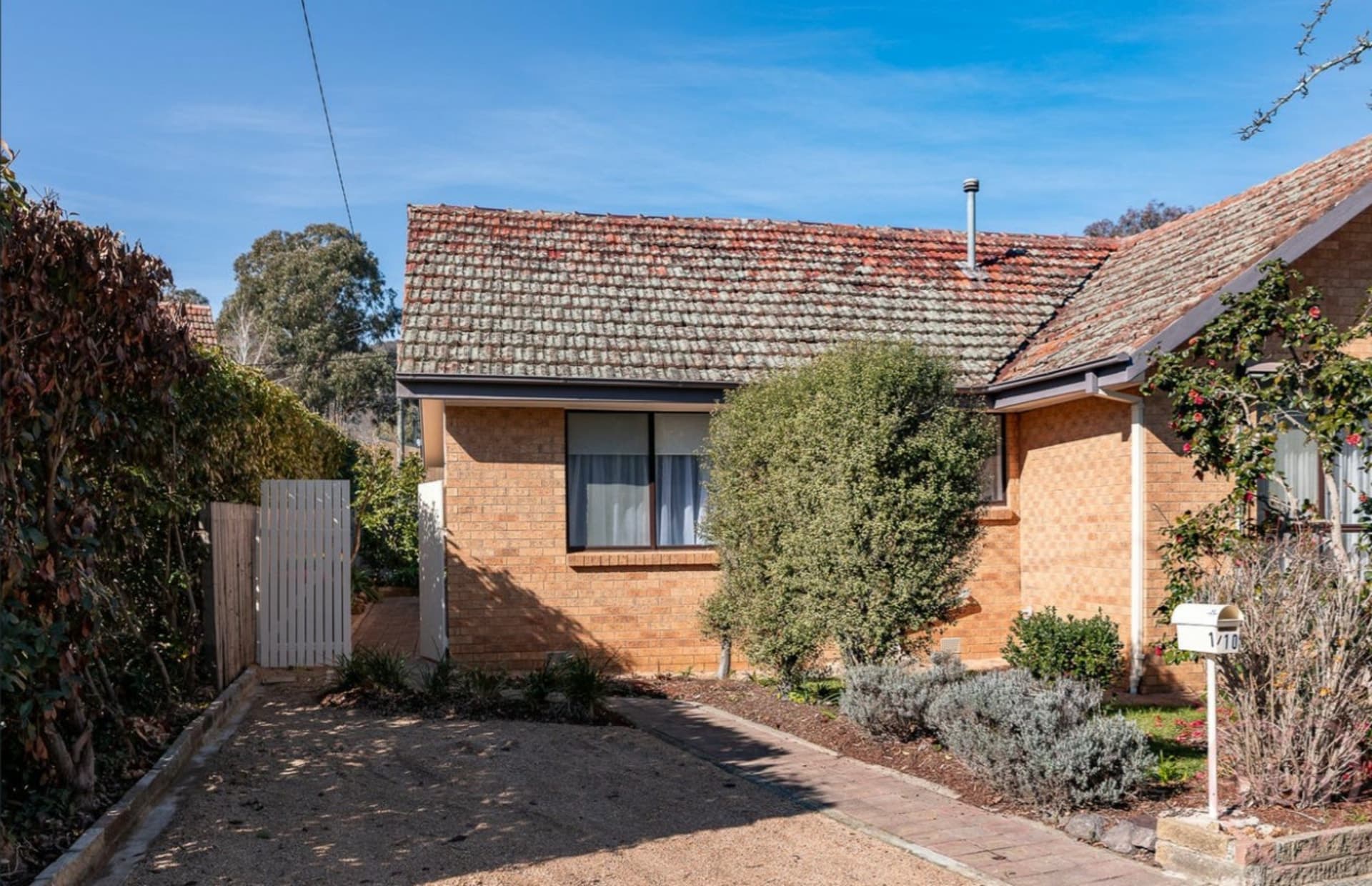 10A Cox Street, Ainslie, Ainslie - Thumbnail 2