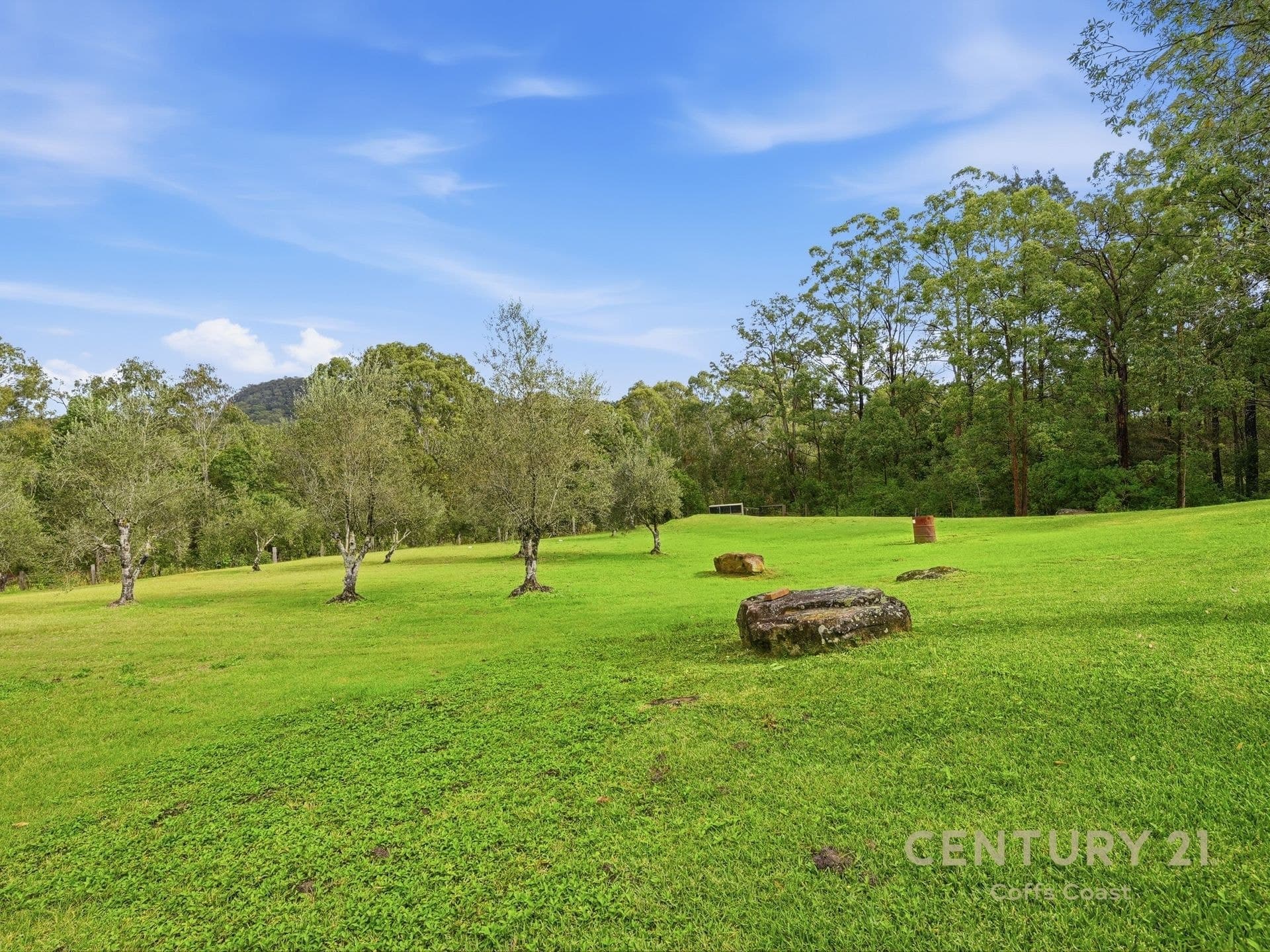 97 Brennans Road, Glenreagh, NSW, 2450, Glenreagh - Thumbnail 3