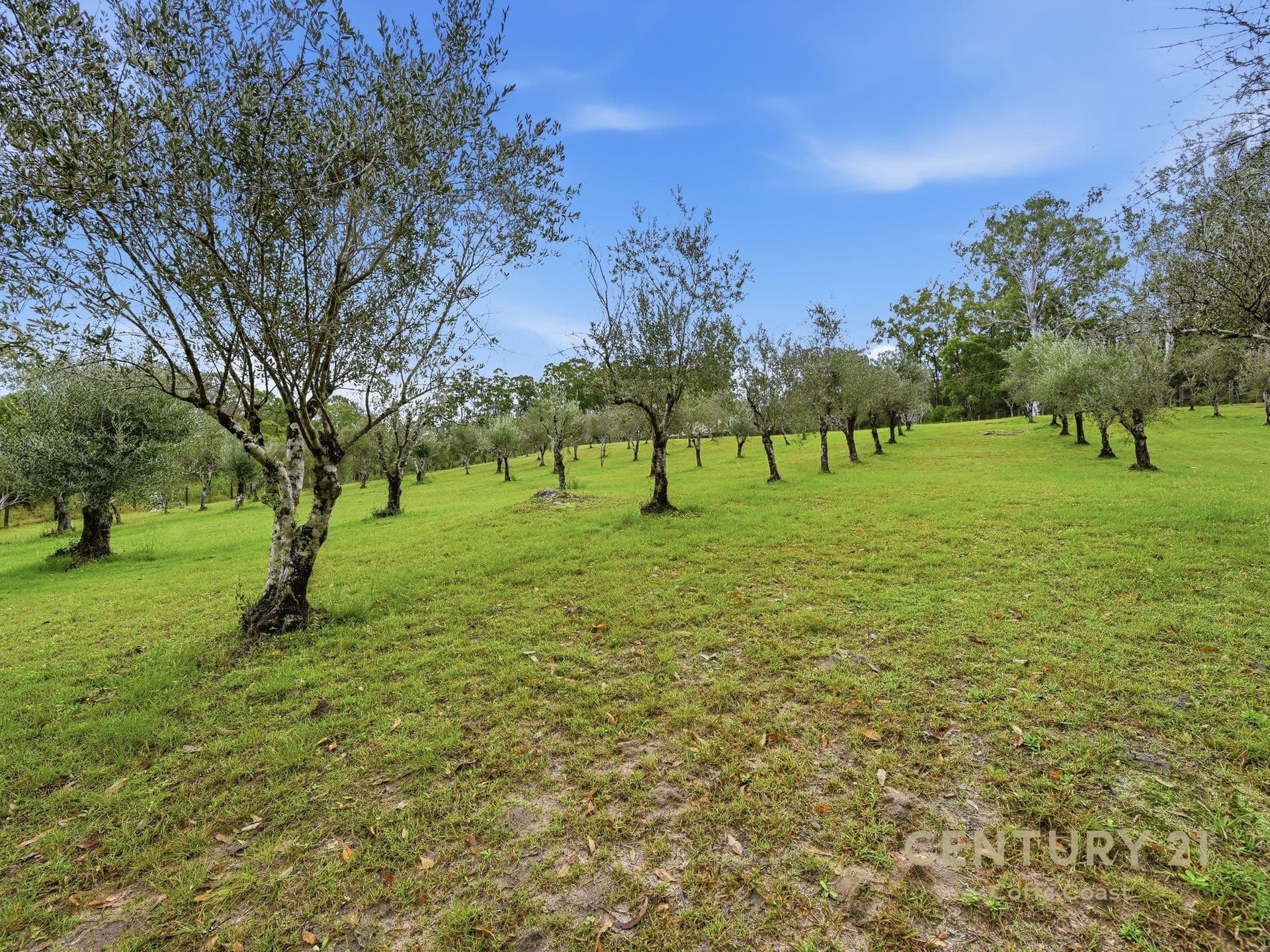 97 Brennans Road, Glenreagh, NSW, 2450, Glenreagh - Thumbnail 4