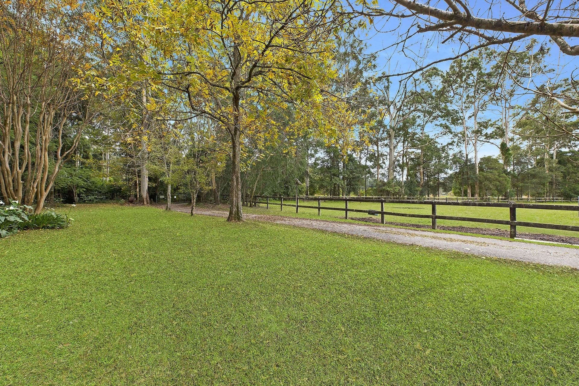 1355 Dooralong Road, Dooralong, Dooralong - Thumbnail 7