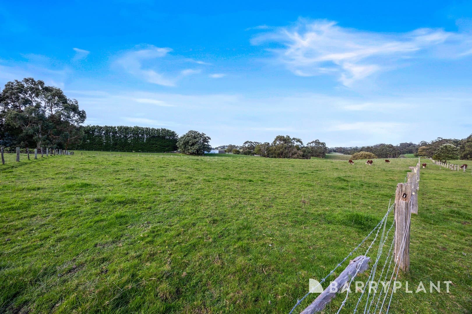 120 Kardella Road, Korumburra, VIC 3950, Korumburra - Thumbnail 3