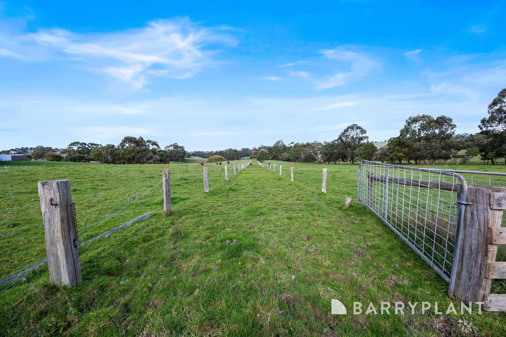 120 Kardella Road, Korumburra, VIC 3950, Korumburra - Thumbnail 4