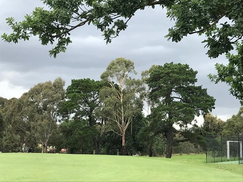 Fairfield VIC 3078, Fairfield - Thumbnail 5