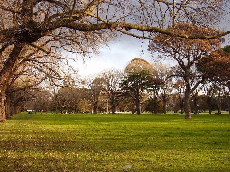 3/3 Louise St, Melbourne - Thumbnail 4