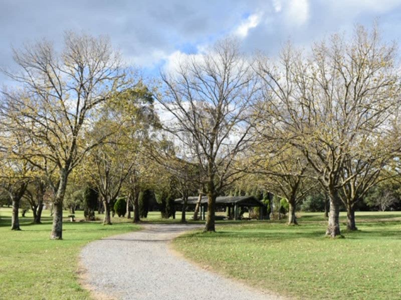 Wantirna VIC 3152, Wantirna - Thumbnail 3