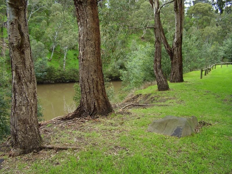 Abbotsford VIC 3067, Abbotsford - Image 1