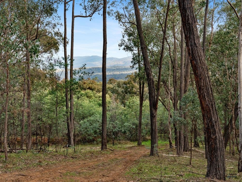 Lot 23 Tatong-Tolmie Rd, TATONG, VIC 3673, Tatong - Image 1