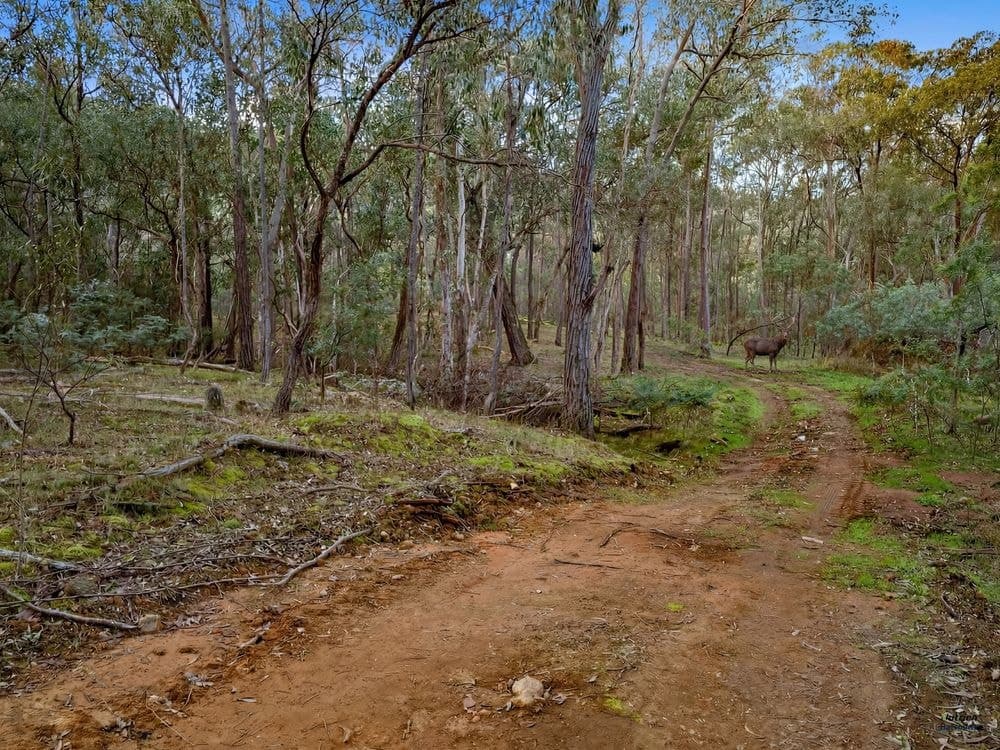 Lot 23 Tatong-Tolmie Rd, TATONG, VIC 3673, Tatong - Thumbnail 2