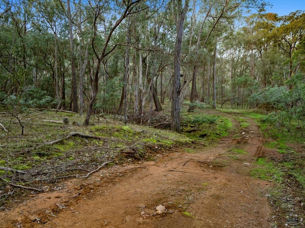 Lot 23 Tatong-Tolmie Rd, TATONG, VIC 3673, Tatong - Thumbnail 5