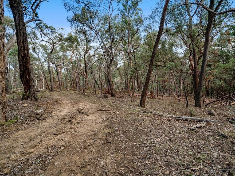 Lot 23 Tatong-Tolmie Rd, TATONG, VIC 3673, Tatong - Thumbnail 6